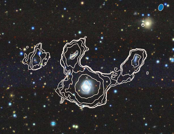 A serendipitous discovery of HI-rich galaxy groups with MeerKAT